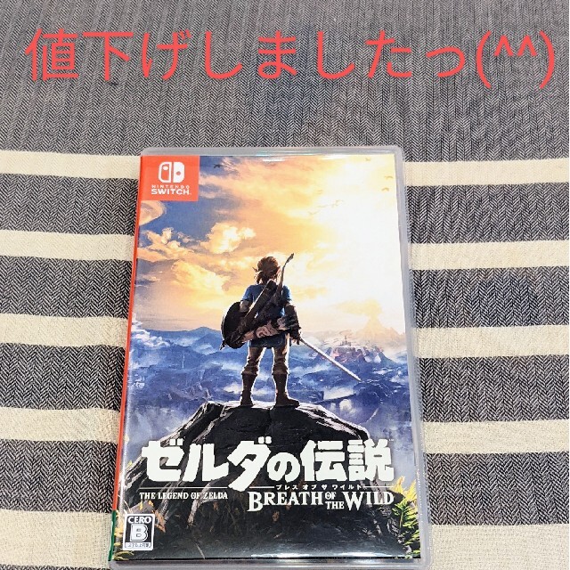 ゼルダの伝説 ブレス オブ ザ ワイルド Switch