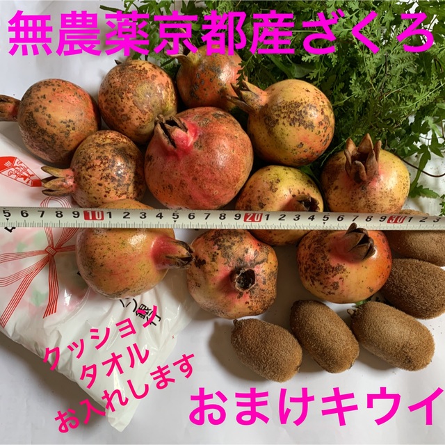 無農薬京都産ざくろ+おまけキウイ　57cm箱いっぱい 食品/飲料/酒の食品(フルーツ)の商品写真