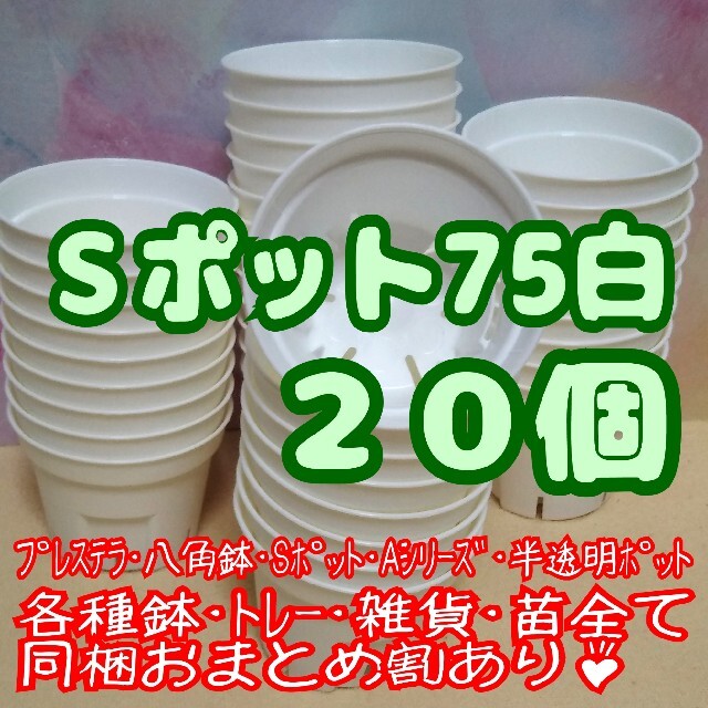 《Sポット75》白 20個 スリット鉢 プラ鉢2.5号鉢相当 多肉植物プレステラ ハンドメイドのフラワー/ガーデン(プランター)の商品写真