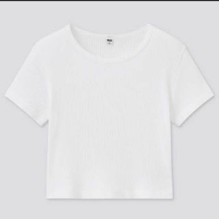 ユニクロ(UNIQLO)のUNIQLO コットンリブクルーネッククロップドT ユニクロ (Tシャツ(半袖/袖なし))