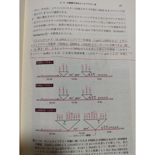 遺伝子工学 エンタメ/ホビーの本(科学/技術)の商品写真