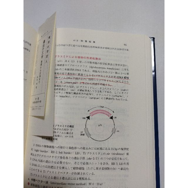 遺伝子工学 エンタメ/ホビーの本(科学/技術)の商品写真