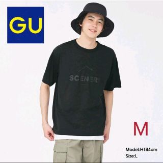 ジーユー(GU)の【GU】クイックドライビッグT 半袖 グラフィック 1GA+E Mサイズ(Tシャツ/カットソー(半袖/袖なし))