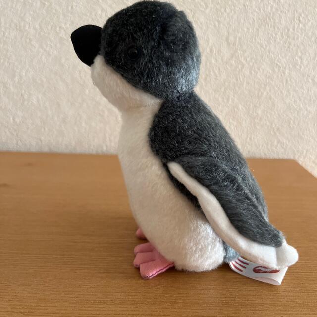 ジンベイザメ　ペンギン　ぬいぐるみ エンタメ/ホビーのおもちゃ/ぬいぐるみ(ぬいぐるみ)の商品写真