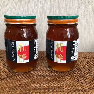 日本蜜蜂　蜂蜜　600g  2瓶　(その他)