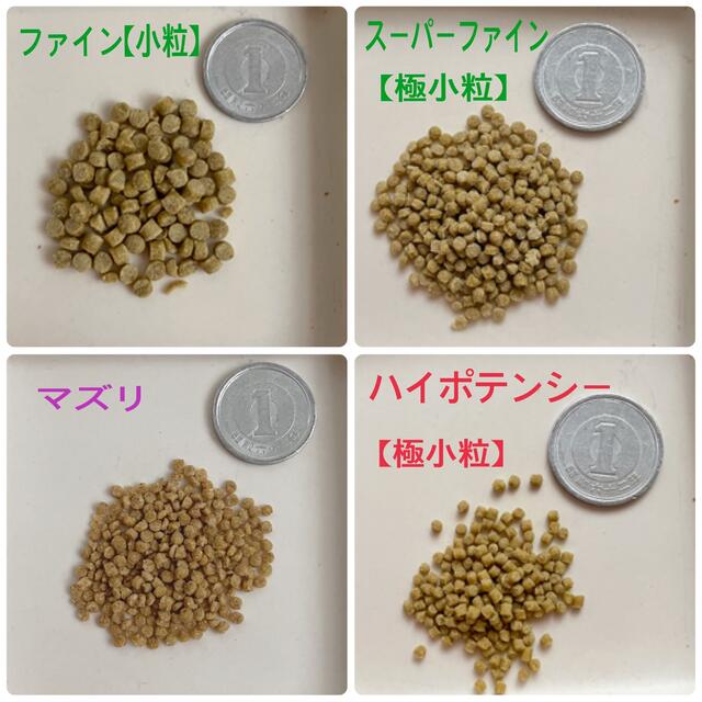 3年保証 即日出荷 【土日祝日も即日発送】ハリソン バードフード ハイポテンシー ファイン【小粒】 通販 ハリソン ハイポテンシー ファイン 小型〜中型鳥用 2.27kg
