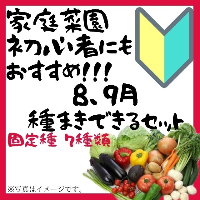 専用品 食品/飲料/酒の食品(野菜)の商品写真