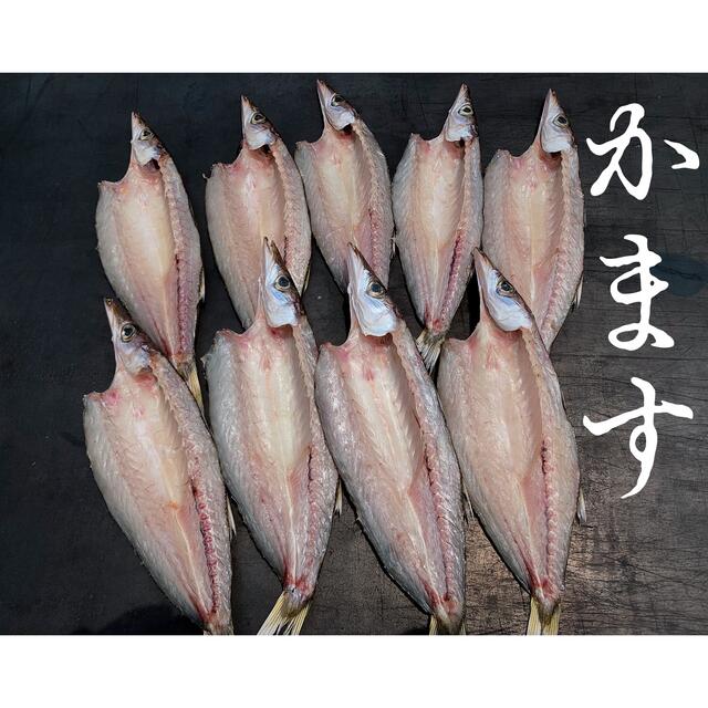 カマス開き　9枚☺︎ 食品/飲料/酒の食品(魚介)の商品写真