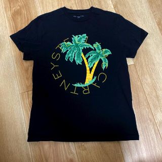 ステラマッカートニー(Stella McCartney)のステラマッカートニー　tシャツ(Tシャツ/カットソー)