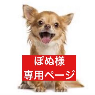 専用ページ