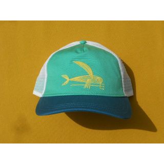 パタゴニア(patagonia)のパタゴニア W's LB Trucker HatトラッカーAQST 2015(キャップ)