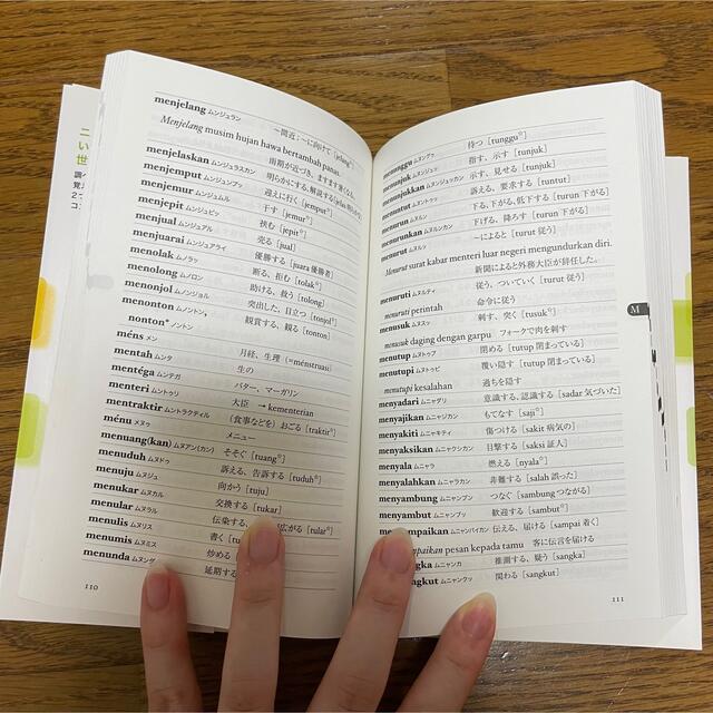 ニューエクスプレスインドネシア語単語集 エンタメ/ホビーの本(語学/参考書)の商品写真