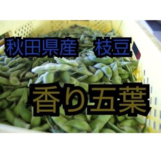 枝豆　　10   キロ  9月 20日〜22日(野菜)