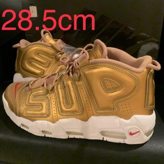 28.5 supreme more up tempo モアアップテンポ 金-