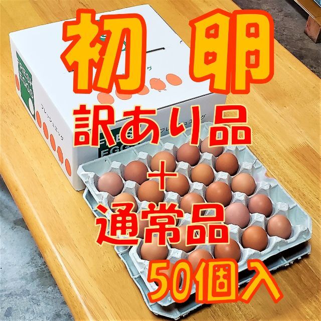 9/26発送【訳アリ品+通常品混合】初卵☆50個 食品/飲料/酒の食品(野菜)の商品写真