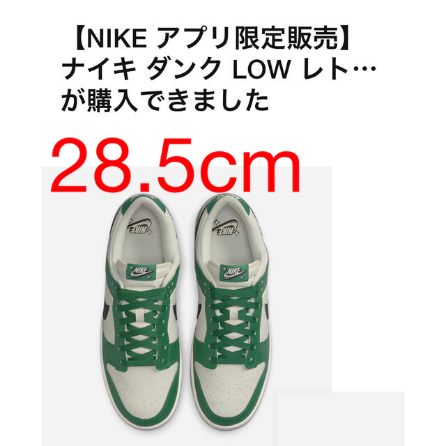 28.5cm NIKE DUNK Low SE Lottery