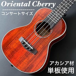 スタニングルアー 【oriental Cherry】アカシア単板のコンサート