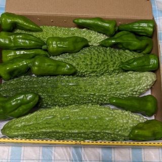 ①岡山県産  ゴーヤ  ピーマン  コンパクト箱  農薬不使用(野菜)