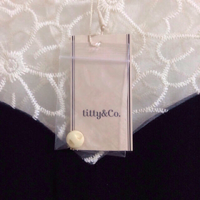 titty&co(ティティアンドコー)の♡新品♡titty&coシースルーワンピ レディースのワンピース(ミニワンピース)の商品写真