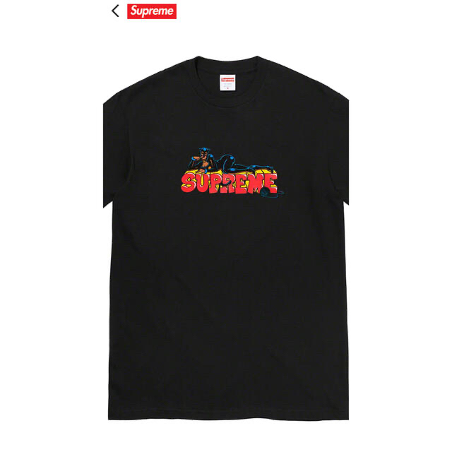 SUPREME 22FW キャットウーマン tee - Tシャツ/カットソー(半袖/袖なし)