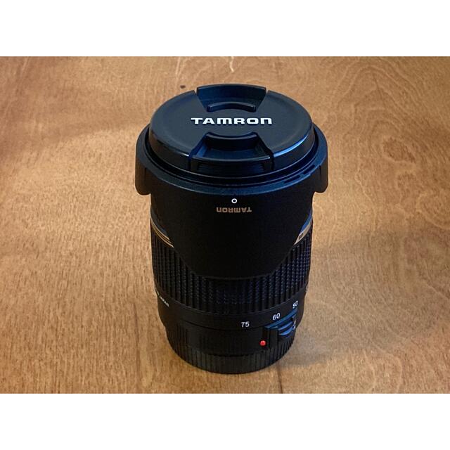 TAMRON レンズ SP AF28-75 F2.8 XR Di (A09E) - 1