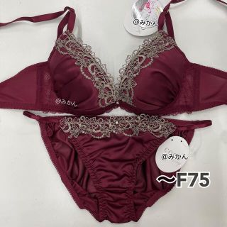 大人の贅沢✨♥️シックカラーマットサテンブラショーツセット(レッド)(ブラ&ショーツセット)