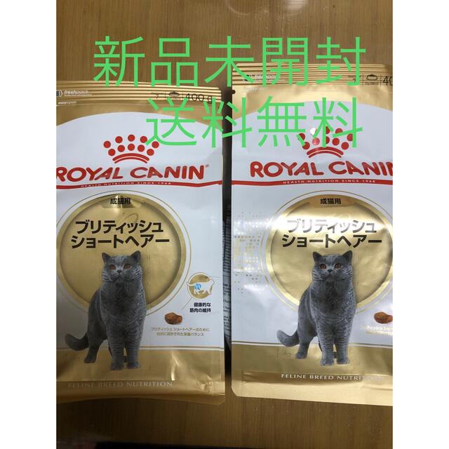 ROYAL CANIN(ロイヤルカナン)のロイヤルカナン ブリティッシュショートヘアー 400g 2セット　800g その他のペット用品(ペットフード)の商品写真