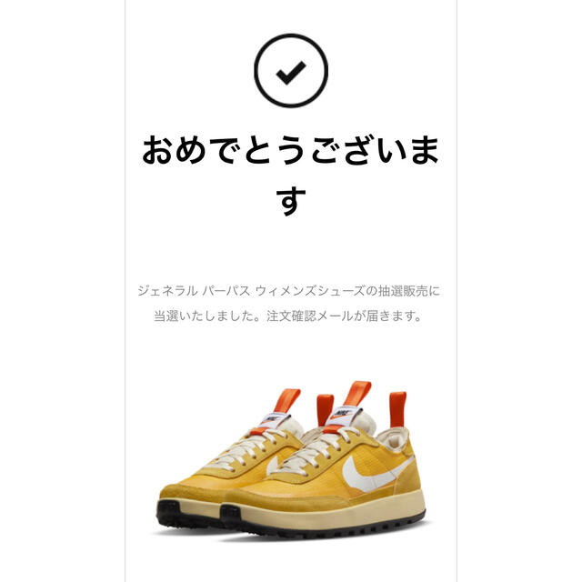 ナイキ×トムサックス　NIKE×TOM SACHS 1