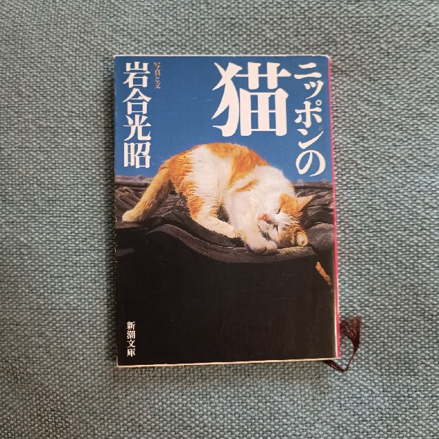 ニッポンの猫 エンタメ/ホビーの本(その他)の商品写真