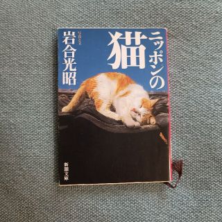 ニッポンの猫(その他)