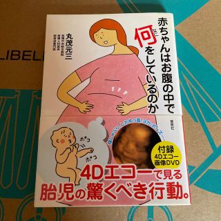 赤ちゃんはお腹の中で何をしているのか(結婚/出産/子育て)