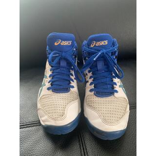 アシックス(asics)のアシックス　ミニバスシューズ 21センチ(バスケットボール)