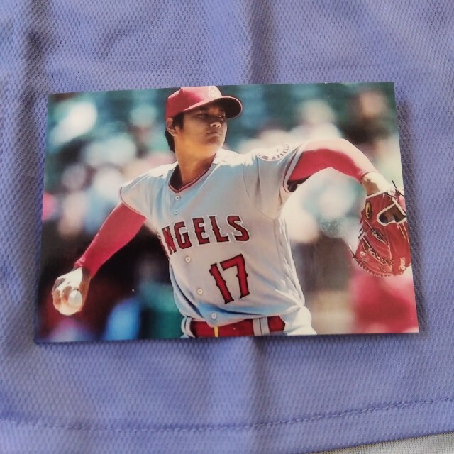 大谷翔平選手の直筆サイン(セット) 大谷翔平選手の直筆サイン(セット)