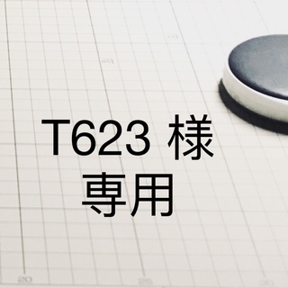 T623様専用カスタム腕時計　新品(その他)