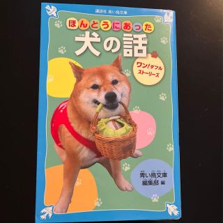 ほんとうにあった犬の話　ワン！ダフルストーリーズ （講談社青い鳥文庫Ｃん１－３）(絵本/児童書)