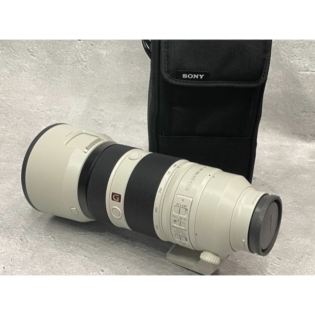 SONY FE 100-400mm F4.5-5.6 GM OSS SEL100