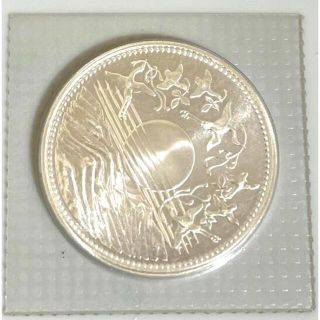 天皇陛下御在位六十周年記念1万円銀貨幣プルーフ(その他)