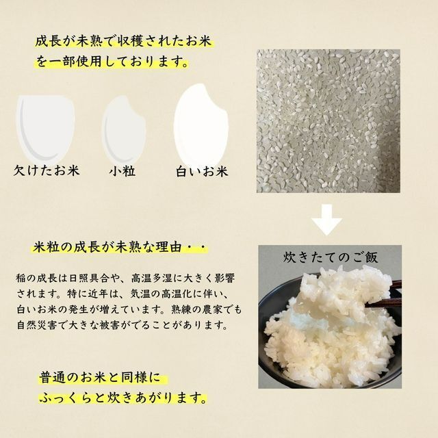 食品/飲料/酒【九州限定】生活応援米30kg コスパ米 お米 おすすめ 激安 美味しい 精米
