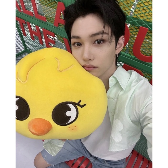 straykids フィリックス　ポガリ　クッション　新品