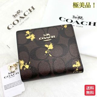 コーチ(COACH)の新品✨ コーチxピーナッツ ウッドストック 折り財布 シグネチャー コラボ(財布)