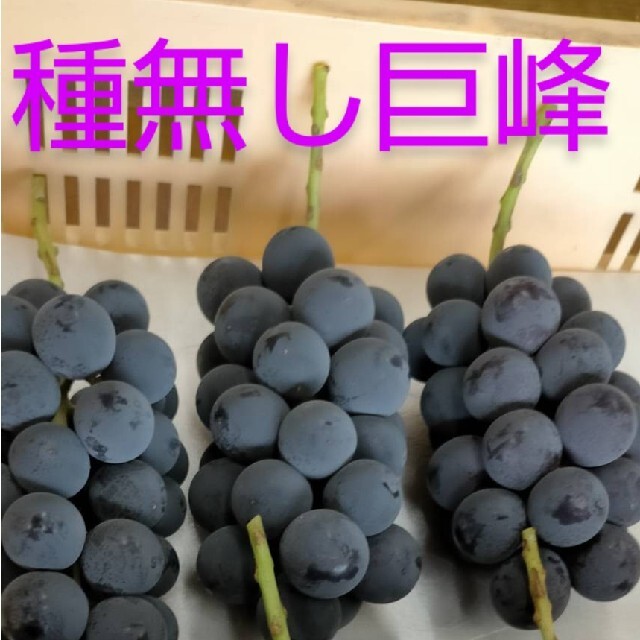 信州産 種無し 巨峰 (秀品) 1㎏  2～3房入り