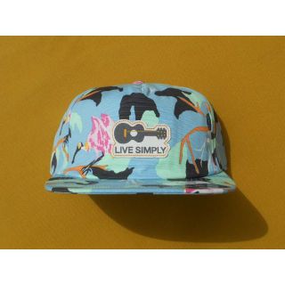 パタゴニア(patagonia)のパタゴニア Funfarer Cap キャップ SPBG 2020(キャップ)