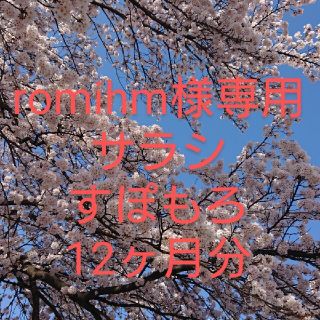 romihm様専用ページ(その他)