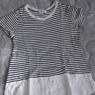 クミキョク(kumikyoku（組曲）)の組曲 ボーダー半袖Tシャツ(Tシャツ(半袖/袖なし))
