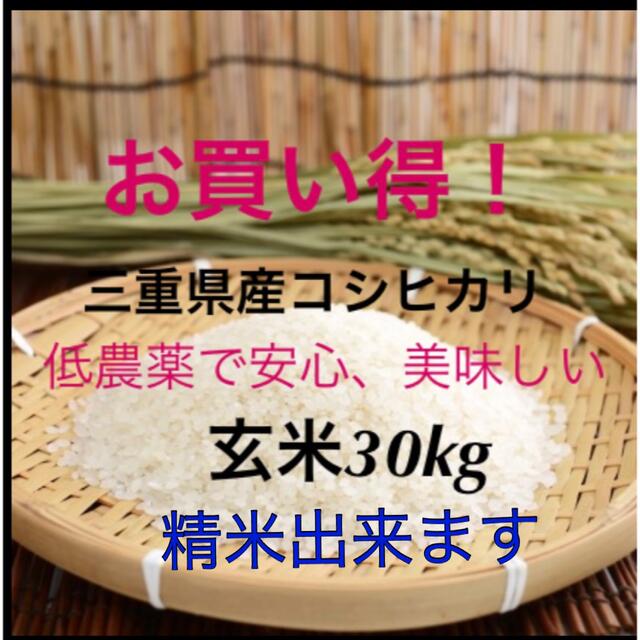 低農薬で安心　米/穀物　三重県産コシヒカリ　30kg