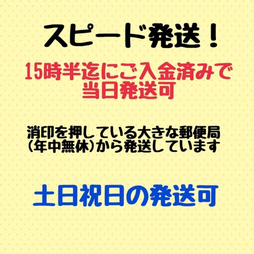 コンサート ジャンボうちわ 黒 (艶なし) 無地 １本 エンタメ/ホビーのタレントグッズ(その他)の商品写真