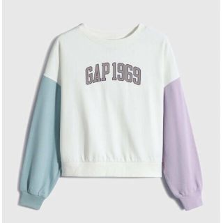 ギャップ(GAP)のGAP スウェット　Lサイズ(トレーナー/スウェット)