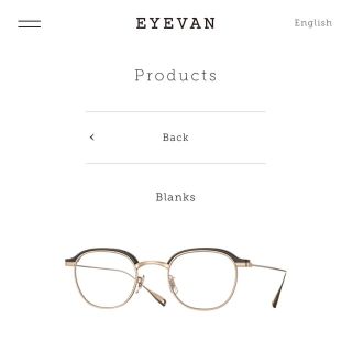 レイバン(Ray-Ban)のEYEVAN Blanks BK/G (サングラス/メガネ)