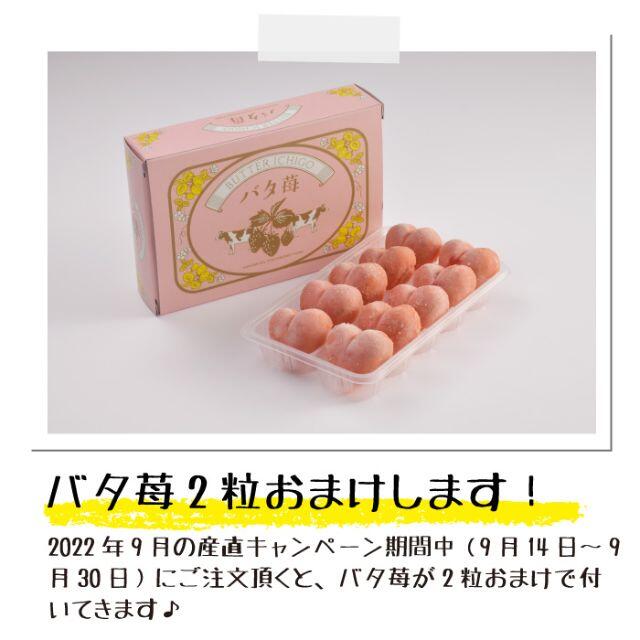 サラサラ苺とコロコロ苺のW食感♪「さらぷち苺」6カップx2セット 練乳付き 食品/飲料/酒の食品(フルーツ)の商品写真