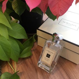 ジョーマローン(Jo Malone)のジョーマローン レッドローズ コロン(ユニセックス)